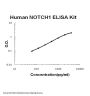 Human NOTCH1 / TAN 1 ELISA Kit PicoKine®