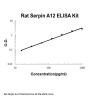 Rat Serpin A12 ELISA Kit PicoKine®