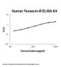 Human Tenascin-R ELISA Kit PicoKine®