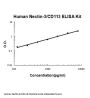 Human Nectin-3/CD113 ELISA Kit PicoKine®