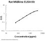 Rat Midkine ELISA Kit PicoKine®