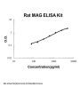 Rat MAG ELISA Kit PicoKine®
