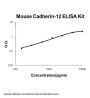 Mouse BR-Cadherin-12 Cdh12 ELISA Kit PicoKine®