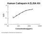 Human Cathepsin A ELISA Kit PicoKine®