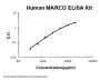 Human MARCO ELISA Kit PicoKine®