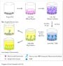 Nitrotyrosine ELISA Kit