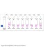 Nitrotyrosine ELISA Kit