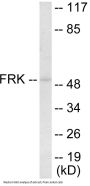 FRK Colorimetric Cell-Based ELISA