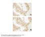 Anti-AKT3 FITC Monoclonal Antibody