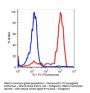 Anti-human CD11b Itgam Monoclonal Antibody FITC Conjugated, Flow Validated