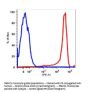 Anti-human CD11b Itgam Monoclonal Antibody PE Conjugated, Flow Validated
