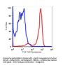Anti-human CD11b Itgam Monoclonal Antibody PerCP Conjugated, Flow Validated