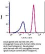 Anti-Human CD54 Icam1 Monoclonal Antibody APC Conjugated, Flow Validated