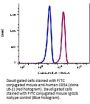 Anti-Human CD54 Icam1 Monoclonal Antibody FITC Conjugated, Flow Validated