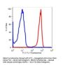 Anti-human CD45 PTPRC Monoclonal Antibody FITC Conjugated, Flow Validated