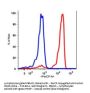Anti-human CD45 PTPRC Monoclonal Antibody PerCP Conjugated, Flow Validated