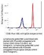 Anti-Human CD45 PTPRC Monoclonal Antibody iFluor488 Conjugated, Flow Validated