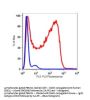 Anti-human CD62L SELL Monoclonal Antibody Biotin Conjugated, Flow Validated