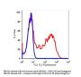 Anti-human CD62L SELL Monoclonal Antibody PE Conjugated, Flow Validated