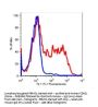 Anti-human CD62L SELL Monoclonal Antibody FITC Conjugated, Flow Validated