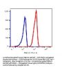Anti-human CD59 Monoclonal Antibody Biotin Conjugated, Flow Validated