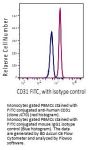 Anti-Human CD31 PECAM1 Monoclonal Antibody FITC Conjugated, Flow Validated