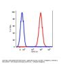 Anti-human CD90 THY1 Monoclonal Antibody APC Conjugated, Flow Validated