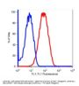 Anti-human CD90 THY1 Monoclonal Antibody FITC Conjugated, Flow Validated