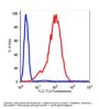 Anti-human CD90 THY1 Monoclonal Antibody PE Conjugated, Flow Validated