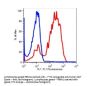 Anti-human CD13 ANPEP Monoclonal Antibody PE Conjugated, Flow Validated