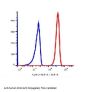 Anti-human CD10 MME Monoclonal Antibody APC Conjugated, Flow Validated