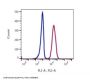 Anti-human CD15 FUT4 Monoclonal Antibody FITC Conjugated, Flow Validated