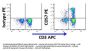 Anti-human CD57 B3GAT1 Monoclonal Antibody PE Conjugated, Flow Validated