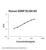 Human GDNF / Glial Derived Neurotrophic Factor PicoKine® Quick ELISA Kit