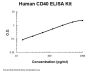 Human CD40/TNFRSF5 PicoKine® Quick ELISA Kit