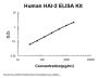 Human HAI-2/SPINT2 PicoKine® Quick ELISA Kit