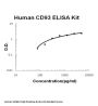 Human CD93/C1qR PicoKine® Quick ELISA Kit