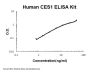 Human CES1 PicoKine® Quick ELISA Kit