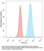 Anti-HER-2 / c-erbB-2 / neu / CD340 Monoclonal Antibody