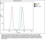 Anti-E Cadherin 1 CDH1 Antibody Picoband® (monoclonal, 9G2)