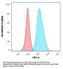 Anti-CD40 / TNFRSF5 Monoclonal Antibody
