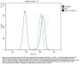 Anti-SLC2A1 Antibody Picoband® (monoclonal, 10C10)