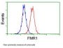 Anti-FMRP (FMR1) Mouse Monoclonal Antibody [Clone ID: OTI1C6]