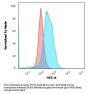 Anti-CD86 (Dendritic Cells Maturation Marker) Monoclonal Antibody