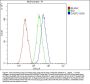 Anti-Caspase-3 Antibody Picoband® (monoclonal, 15G8)