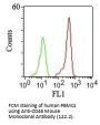 Anti-CD46 (Membrane Cofactor Protein) Monoclonal Antibody
