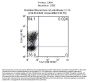 Anti-Mouse IL-17A Monoclonal Antibody