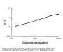 Anti-PON1 Antibody Picoband® (monoclonal, 6B1)