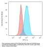 Anti-CD45RB (B-Cell Marker) PTPRC Monoclonal Antibody