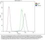 Anti-GSTM1 Antibody Picoband® (monoclonal, 11F2)